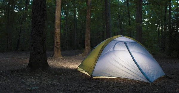 Палатка Лесу Северной Каролины Ночью — стоковое фото