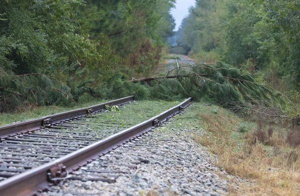 Alberi Attraverso Una Linea Ferroviaria Dopo Uragano Firenze Vicino Fayetteville — Foto Stock