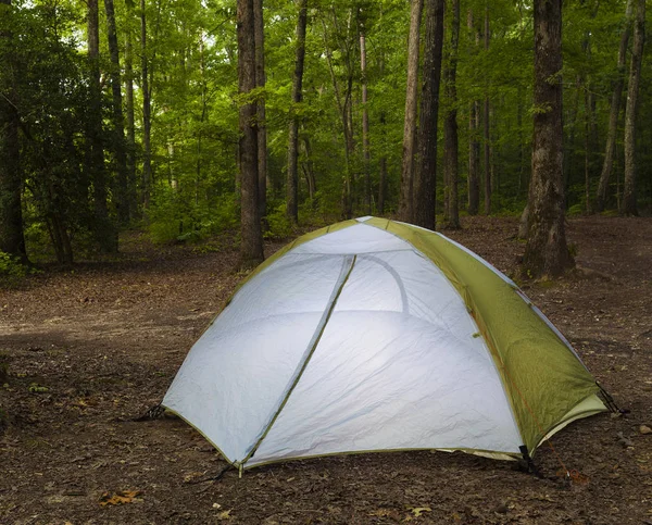 Petite Tente Installée Dans Une Forêt Sombre Caroline Nord — Photo