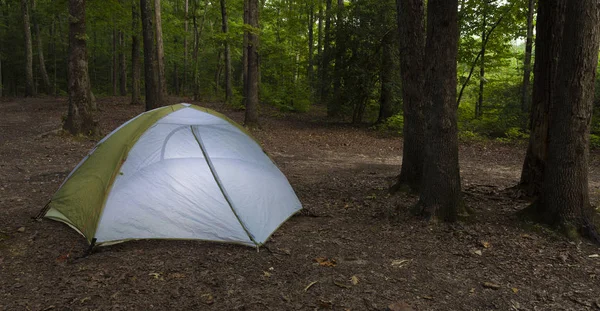 Camping Éloigné Sur Forêt Nationale Uwharrie — Photo