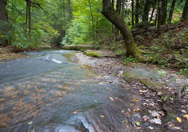 Klarer Strom Fließt Durch Den Stone Mountain State Park North — Stockfoto