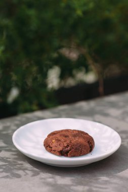 Chocolate chip cookie presenting a delicious dessert on a white saucer with a green foliage background
