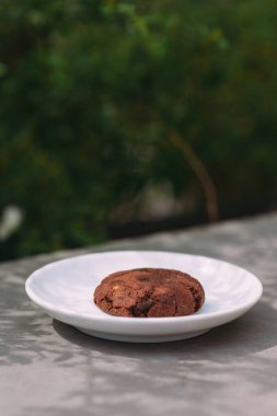 Delicious deep brown chocolate cookie with chocolate chips resting on a white ceramic plate, creating a tempting edible treat