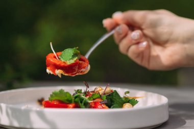 Rengarenk bir sebze ısırığıyla çatalı tutan el taze salatayla birlikte tabaktan yemeye hazırlanıyor.