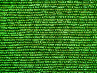 Yeşil halı tekstil dokusunun, arka planının ve duvar kağıdının yakın çekimi. Yeşil kumaş kumaş döşeme mobilyası dokusu. Yüksek kaliteli makro fotoğrafçılık.