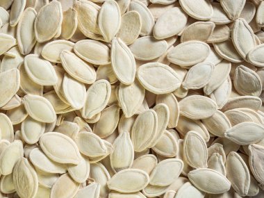 Detaylı beyaz sarı, kuru, kızarmış ve tuzlu kabak tohumlarının yakın plan görüntüsü. Düzgün, sağlıklı ve beslenme konsepti.