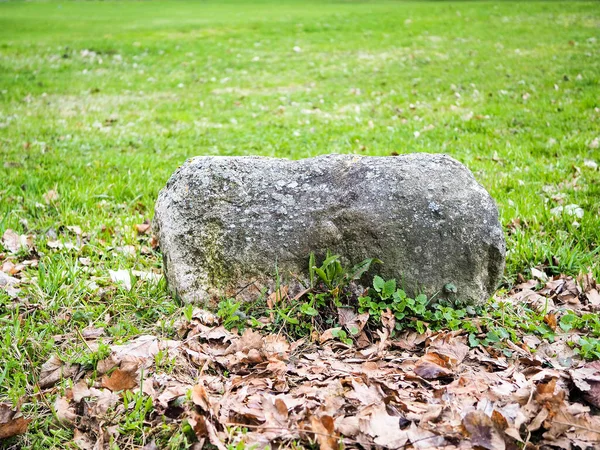 Detailní Záběr Starého Osamělého Šedého Kamene Nebo Dláždění Poli Nebo — Stock fotografie