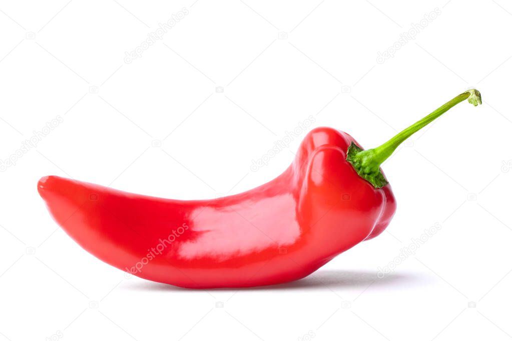 One whole red capsicum hot chili pepper (sweet bell, paprika, cayenne, chilli, Jalapeno, cubanelle, hungarian wax pepper) isolated on white background. Close up, copy space.