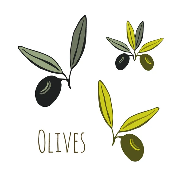 Olives Vector icon. Hand drawn illustration. Sticker label design. — Stock Vector