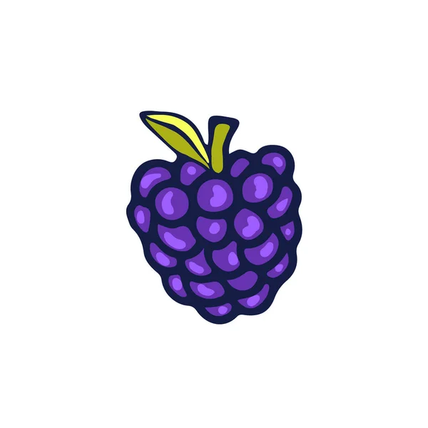 Blackberry Vector icon. Hand drawn print. Sticker design. — Stock Vector
