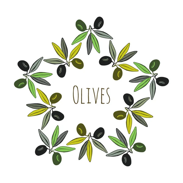 Label d'olives. Décoration d'olive dessinée à la main. Conception vectorielle . — Image vectorielle