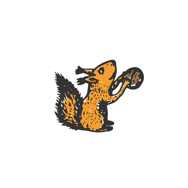 Pictogram van de eekhoorn vector. Hand getrokken afdrukken. Sticker schets ontwerp. — Stockvector