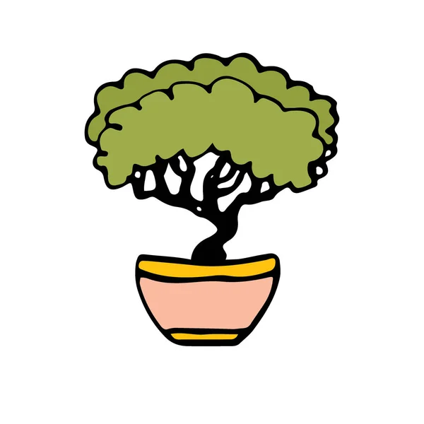 Bonsai-Baum-Vektorsymbol. Handgezeichneter Druck. Emblem Logo Design. — Stockvektor