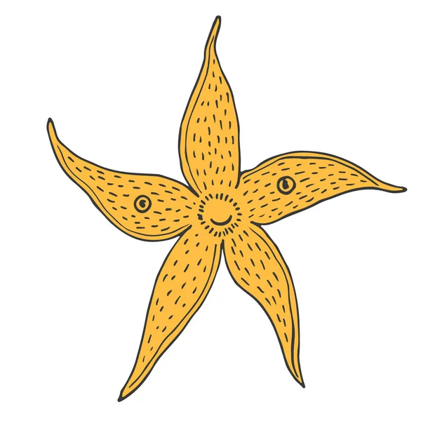 Icono del vector estrella de mar. Diseño de impresión para niños. Pegatina divertida . — Vector de stock