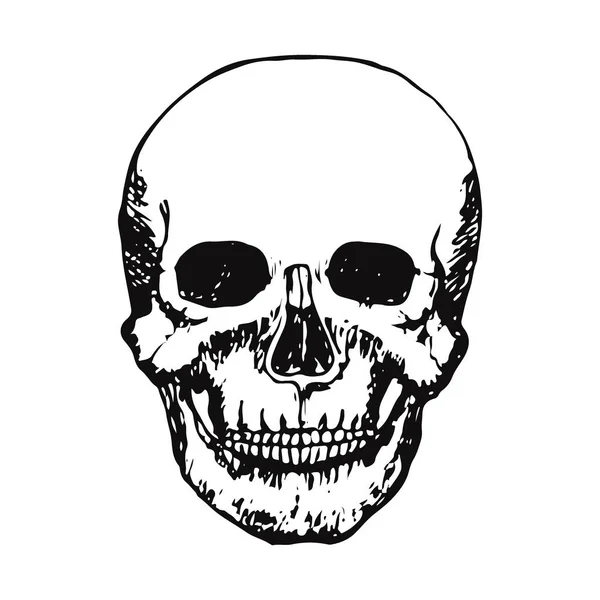 Skull head sketch print. Hand drawn vector icon. — Stock Vector
