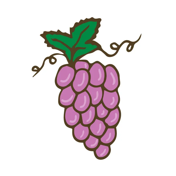 Grape Vector icon. Hand drawn print. Sticker printed design.