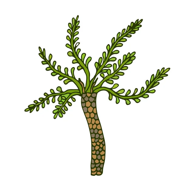 Vector Palm Tree. Nature icon. Vegan concept print. — Stock Vector