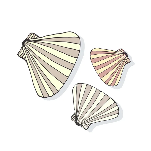 Muschelvektor. Sommer tropische Illustration. Symbol oder Logo. — Stockvektor