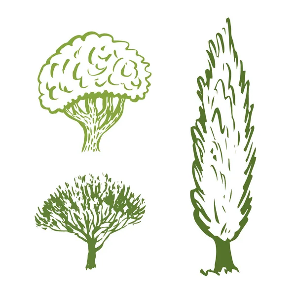 Árboles dibujados a mano decoración vectorial. Elementos de jardín aislados bosquejados. Iconos de silueta verde . — Vector de stock