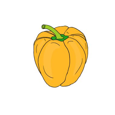 Sarı Biber vektör ikonu. Sebze çıkartması. Yemek tarifi kitabı için gerekenler.