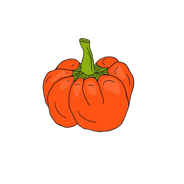 Icône vectorielle Poivre orange. Sticker aux légumes. Ingrédients pour livre de recettes . — Image vectorielle