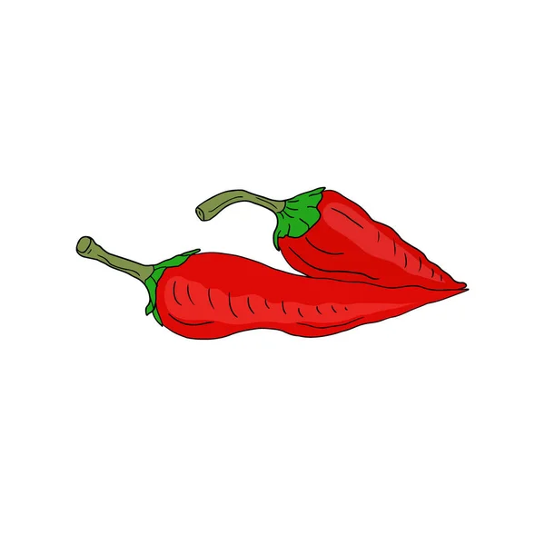 Červená ikona s chilli papričkami. Zeleninový štítek. Ingredience pro recept. — Stockový vektor