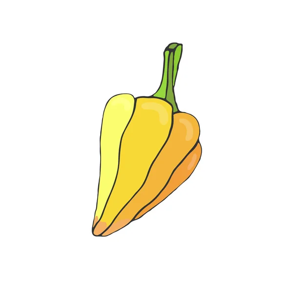 Icono del vector Sweet Pepper. Pegatina de verduras. Ingredientes para libro de recetas . — Archivo Imágenes Vectoriales