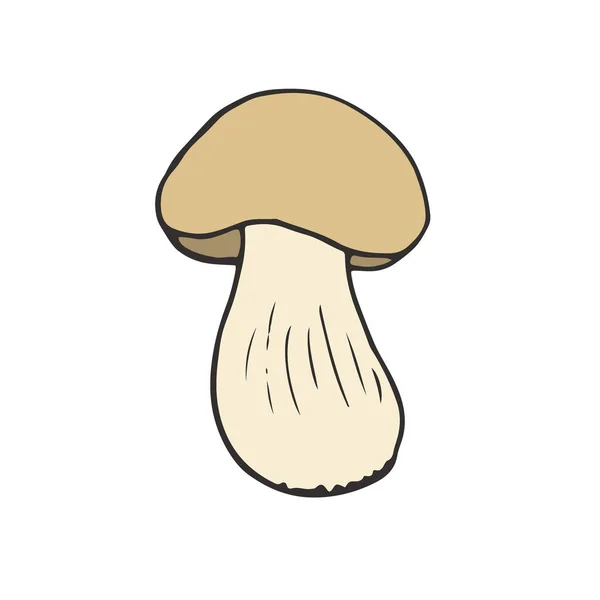 蘑菇波西尼图标设计。素食贴纸和补丁。矢量插图. — 图库矢量图片