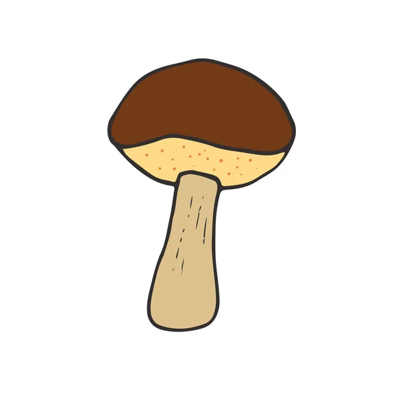 Boletus badius diseño icono de la seta. Pegatina vegana y parche. Ilustración vectorial — Vector de stock