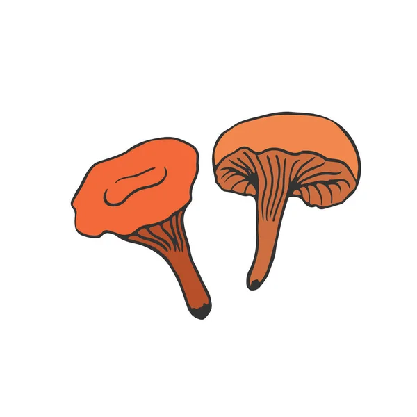 Conception icône champignon. Sticker végétalien et patch. Illustration vectorielle Chanterelles — Image vectorielle