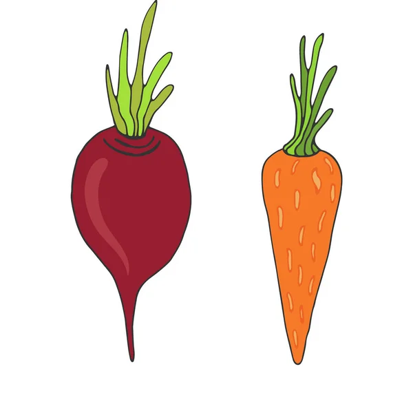 Буряк і морква векторні значки. Дизайн упаковки насіння. Овочі наклеюють. Складові для книги рецептів . — стоковий вектор