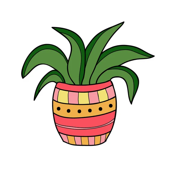 Ikon vektor Houseplant. Desain cetak kaos. Stiker lucu. Poster interior . - Stok Vektor