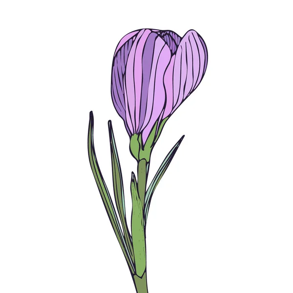 Ilustrace fialová květina. Vzhled trička. Roztomilá nálepka. — Stockový vektor