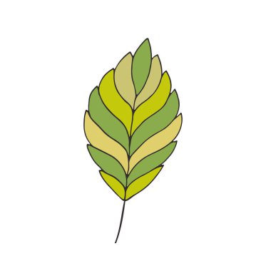 Yaprak simgesi tasarımı. T-shirt baskı tasarımı. Sevimli eko etiket yama.