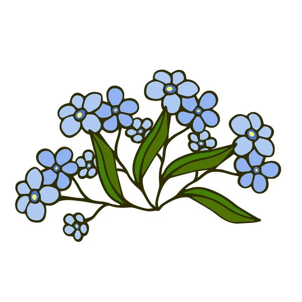 Forget-Me-inte blå blommor. Gratulationskort dekoration. — Stock vektor