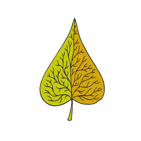 Leaf ikon design. T-shirt tryckdesign. Söt Doodle klistermärke patch. — Stock vektor