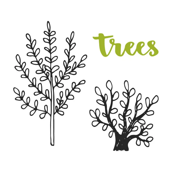 Árvores desenhadas à mão. T-shirt impressão rústica Design de ícones vetoriais  . — Vetor de Stock