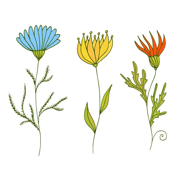 Wildblumenschmuck. Interieur Natur Design. Print mit bunten Blumen. Papeterie florales Dekor. — Stockvektor