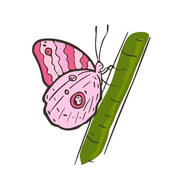 Ручная иллюстрация с бабочкой на растении. Дизайн печати насекомых. Искусство розовых бабочек для детской книги . — стоковый вектор