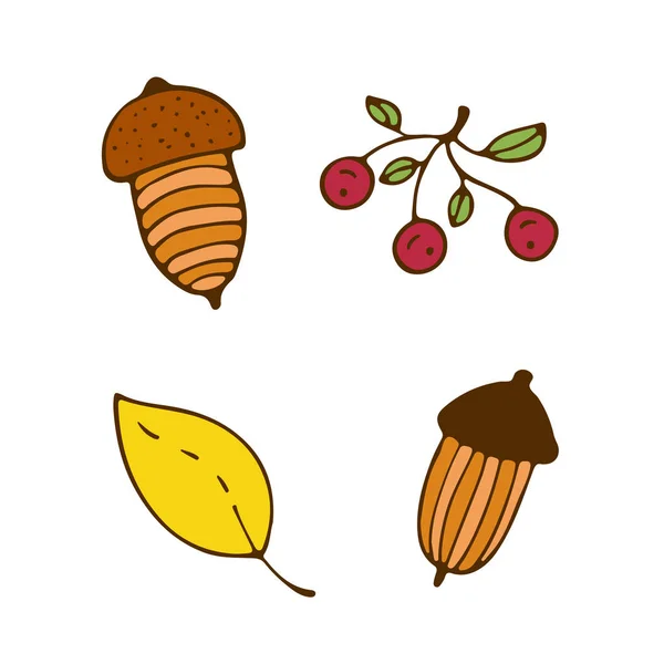 Autumn nature icons. Hand drawn print. Sticker design with acorn and berry. — Stock Vector