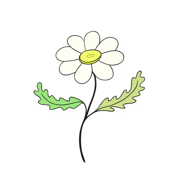 Kamilla virág ikon. Kézzel rajzolt nyomtatás. Matrica vektor design. Virágos belső poszter. — Stock Vector