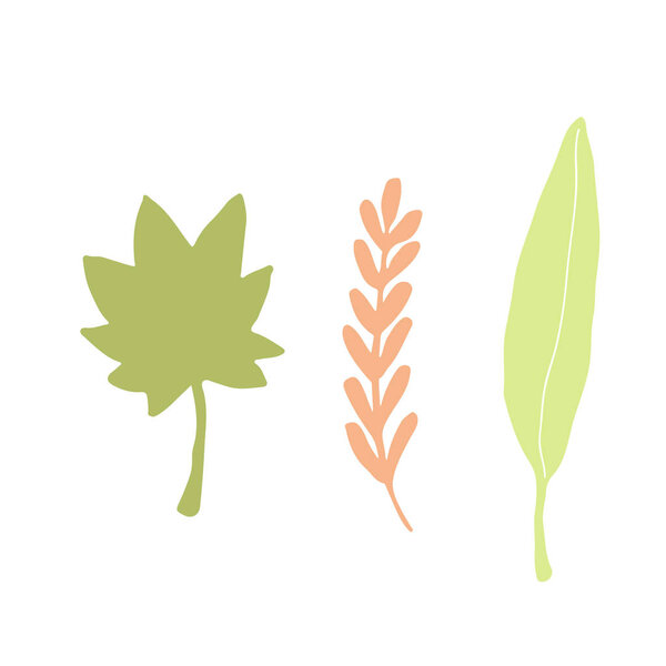 Силуэт Осенних листьев. Изолированное оформление для поздравительных открыток и веб-дизайна
.