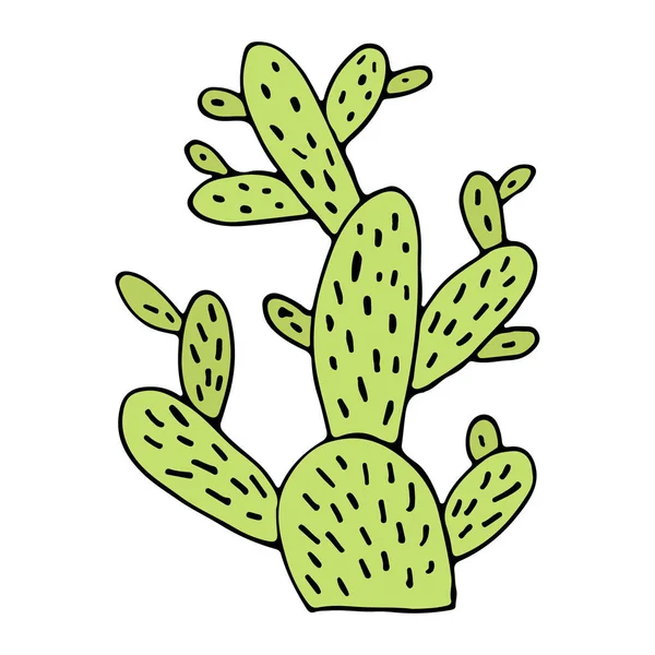 Icono de dibujos animados de cactus. Impresión dibujada a mano. Diseño de la etiqueta engomada, cartel interior . — Vector de stock