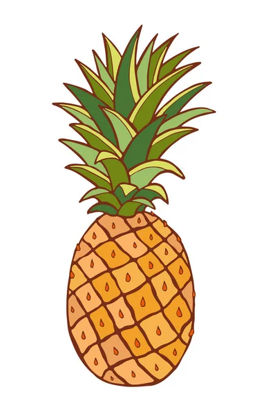 Ananas Illustration. Tropische Fruchtkunst. Innen- oder T-Shirt-Print-Design. — Stockvektor