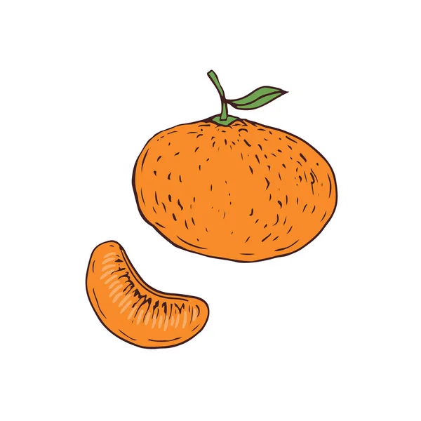 Ícone de vetor laranja. Ilustração desenhada à mão. Design de impressão adesiva . — Vetor de Stock