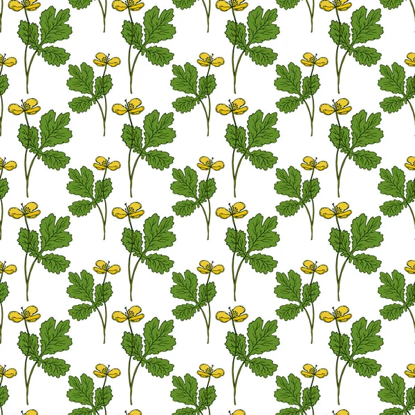 Botanical Herbs Seamless Pattern Nature Print Textile Design Nature Pattern — Stock Vector
