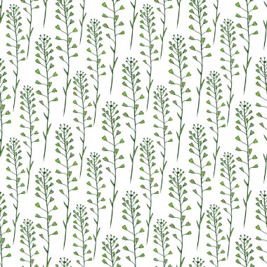 Wildflowers sorunsuz desen arka plan. Vektör baskı tasarımı. Yabani çiçekler desenli doğa arka planı. Capsella bitkisi