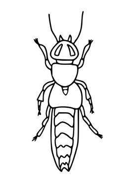 Elle çizilmiş yaratıcılık böceği,