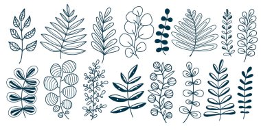 Elle çizilmiş dallar ve yapraklar. Botanik baskı tasarımı. Çiçek kroki koleksiyonu. Dekoratif botanik elementler. Duvar çıkartmaları bırakır