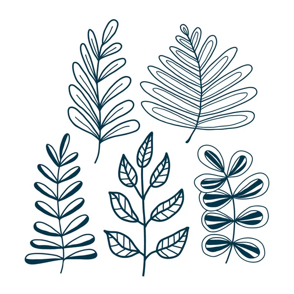 Folhas Desenhadas Mão Projeto Impressão Botânica Deixa Coleção Esboços Elementos — Vetor de Stock